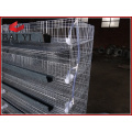 Automatic Water System Quail Barreding Cages